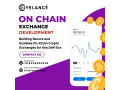 on-chain-exchange-development-solution-hivelance-small-0