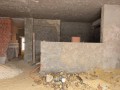 fyla-llbyaa-balshrok-small-4