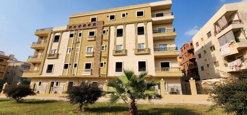 shk-llbyaa-balshrok-big-0