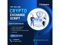 launch-your-crypto-exchange-with-plurances-powerful-script-small-0