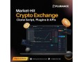 fast-track-your-crypto-business-with-high-performance-crypto-exchange-script-small-0