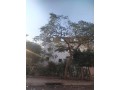 byt-llbyaa-balhy-alaaashr-small-1