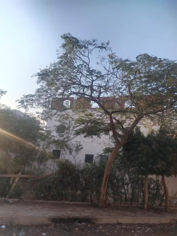 byt-llbyaa-balhy-alaaashr-big-1