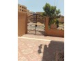 shk-llbyaa-balshrok-small-0
