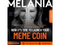 meme-coin-development-launch-your-unique-coin-with-plurance-small-0