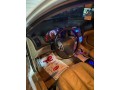 hyundai-avante-hd-small-3