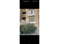 shkh-askan-alshbab-70-nmothg-alhdry-aaly-mhor-gmal-aabd-alnasr-mbashrh-ardy-ttl-aaly-hdykh-fyo-mftoh-ghyr-mgrohh-fy-small-0