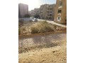 shkh-askan-alshbab-70-nmothg-alhdry-aaly-mhor-gmal-aabd-alnasr-mbashrh-ardy-ttl-aaly-hdykh-fyo-mftoh-ghyr-mgrohh-fy-small-1
