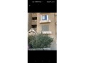 shkh-askan-alshbab-70-nmothg-alhdry-aaly-mhor-gmal-aabd-alnasr-mbashrh-ardy-ttl-aaly-hdykh-fyo-mftoh-ghyr-mgrohh-fy-small-0