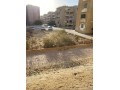 shkh-askan-alshbab-70-nmothg-alhdry-aaly-mhor-gmal-aabd-alnasr-mbashrh-ardy-ttl-aaly-hdykh-fyo-mftoh-ghyr-mgrohh-fy-small-1