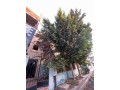 mnzl-llbyaa-balaaashr-mn-rmdan-small-0