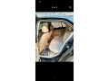 volkswagen-jetta-small-4