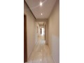 shk-llbyaa-bmdyn-alshrok-small-2