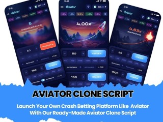 why-is-plurance-the-ideal-choice-for-developing-your-aviator-game