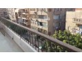 shkh-llbyaa-f-msr-algdydh-small-1