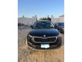 skoda-kodiaq-small-0