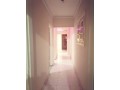 shk-llbyaa-fy-alnzh-alaabor-small-3