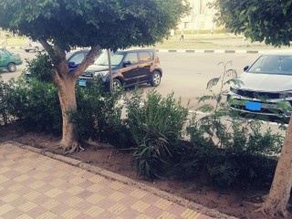 shk-llbyaa-fy-alnzh-alaabor