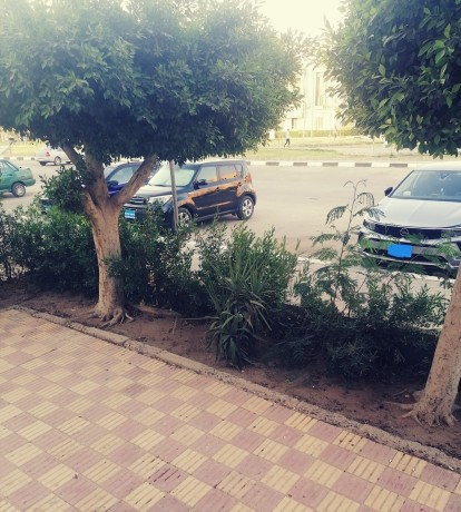 shk-llbyaa-fy-alnzh-alaabor-big-0