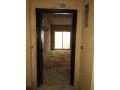 llbyaa-shk-baltgmaa-alkhams-small-1