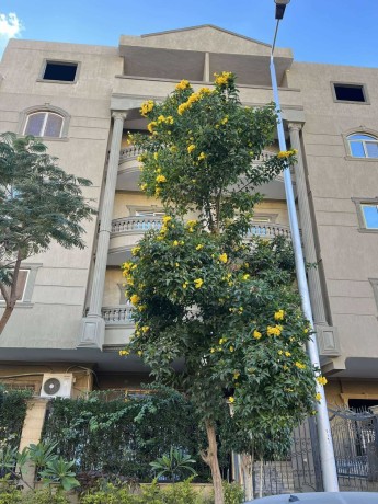 shk-llbyaa-amam-kmbond-almaaady-big-0