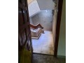 shk-llbyaa-f-alaabor-small-3