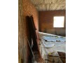 shk-llbyaa-bmdyn-alaabor-small-2