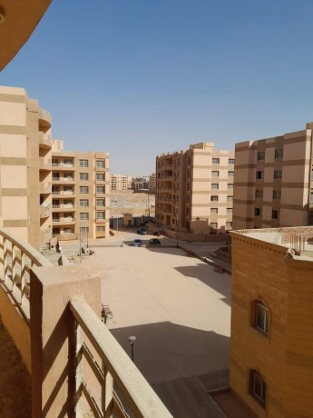shk-llbyaa-balandls-altgmaa-alkhams-big-3