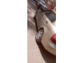 hyundai-new-accent-small-1