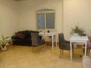 shk-llbyaa-balmaaady