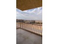 shk-llbyaa-fy-zhraaa-almaaady-small-0
