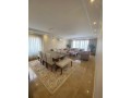 shk-llbyaa-fy-zhraaa-almaaady-small-2