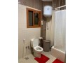 shk-llbyaa-balshrok-2-small-4