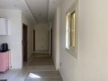 shk-llbyaa-balshrok-small-1