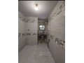 shk-llbyaa-balshrok-small-4